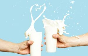 شیر و ماست کم چرب بهتر است یا پر چرب؟